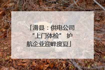 滑县：供电公司“上门体检” 护航企业迎峰度夏