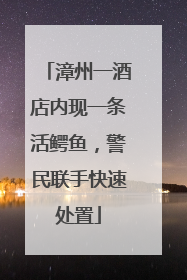 漳州一酒店内现一条活鳄鱼，警民联手快速处置