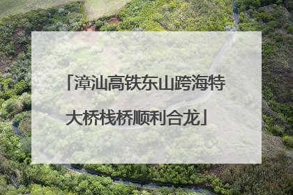 漳汕高铁东山跨海特大桥栈桥顺利合龙