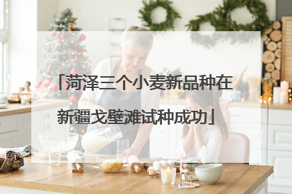 菏泽三个小麦新品种在新疆戈壁滩试种成功