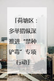 荷塘区：多举措纵深推进“禁种铲毒”专项行动