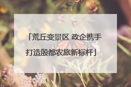 荒丘变景区 政企携手打造殷都农旅新标杆