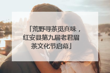 荒野寻茶觅真味，红安县第九届老君眉茶文化节启幕