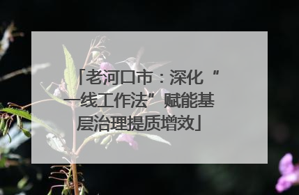 老河口市：深化“一线工作法”赋能基层治理提质增效