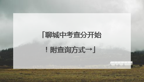 聊城中考查分开始！附查询方式→