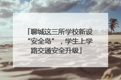 聊城这三所学校新设“安全岛”，学生上学路交通安全升级