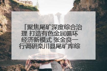 聚焦尾矿深度综合治理 打造有色金属循环经济新模式 张金良一行调研栾川县尾矿库综合治理工作