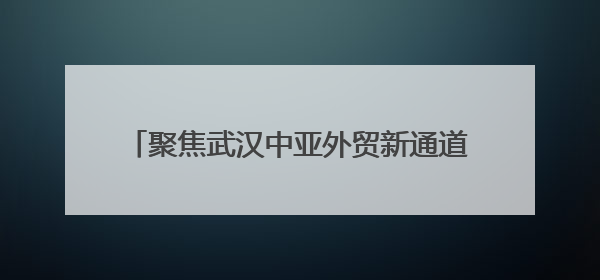 聚焦武汉中亚外贸新通道│中亚班列开辟双通道 哈萨克斯坦饲用小麦将抵鄂