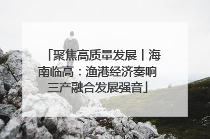 聚焦高质量发展丨海南临高：渔港经济奏响三产融合发展强音