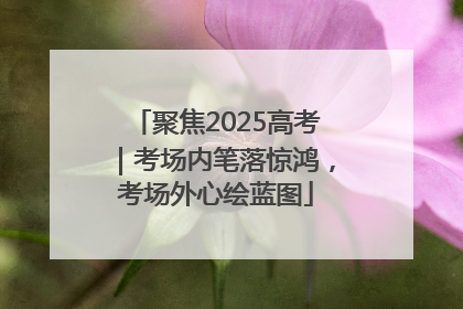 聚焦2025高考｜考场内笔落惊鸿，考场外心绘蓝图
