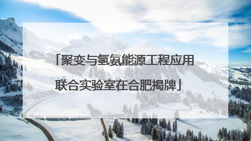 聚变与氢氨能源工程应用联合实验室在合肥揭牌