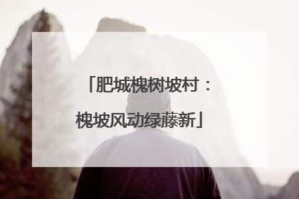 肥城槐树坡村：槐坡风动绿藤新