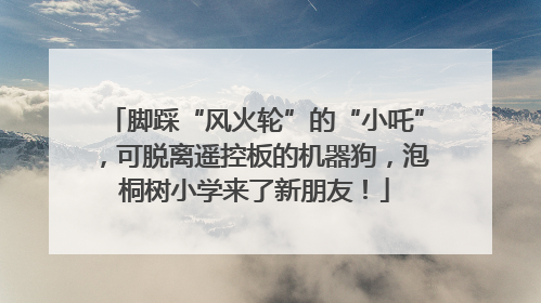 脚踩“风火轮”的“小吒”，可脱离遥控板的机器狗，泡桐树小学来了新朋友！