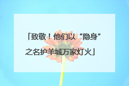 致敬！他们以“隐身”之名护羊城万家灯火