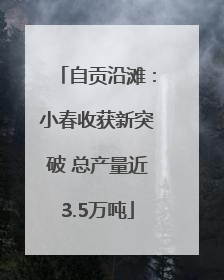自贡沿滩：小春收获新突破 总产量近3.5万吨