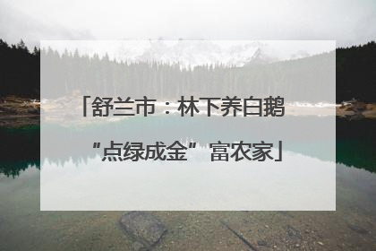 舒兰市：林下养白鹅 “点绿成金”富农家