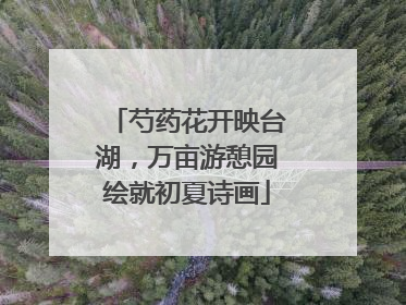 芍药花开映台湖，万亩游憩园绘就初夏诗画