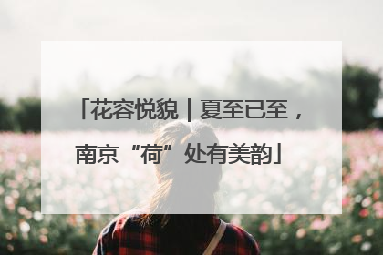 花容悦貌｜夏至已至，南京“荷”处有美韵