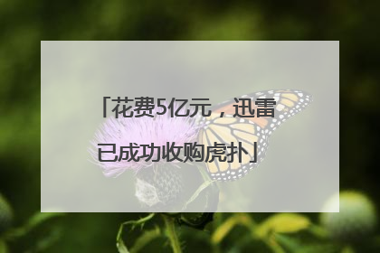 花费5亿元，迅雷已成功收购虎扑