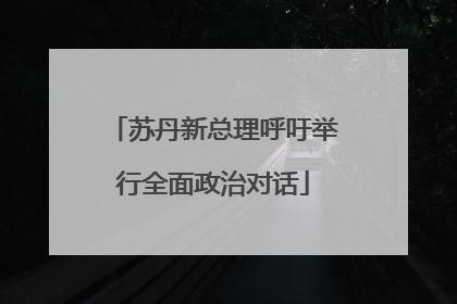 苏丹新总理呼吁举行全面政治对话