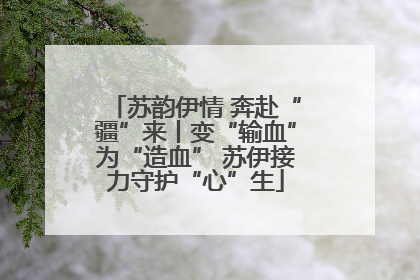 苏韵伊情 奔赴“疆”来丨变“输血”为“造血” 苏伊接力守护“心”生