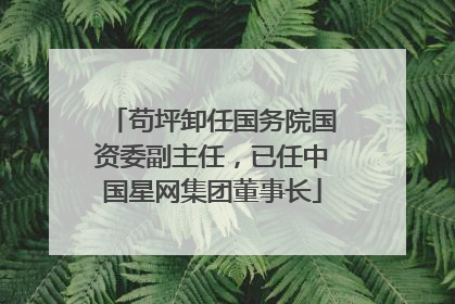 苟坪卸任国务院国资委副主任，已任中国星网集团董事长