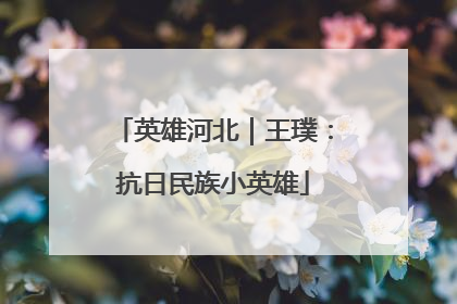 英雄河北｜王璞：抗日民族小英雄