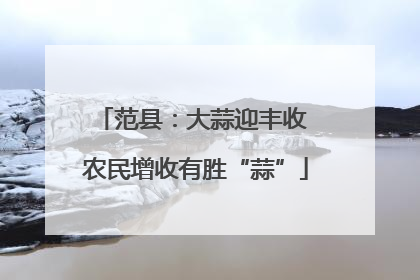 范县：大蒜迎丰收 农民增收有胜“蒜”