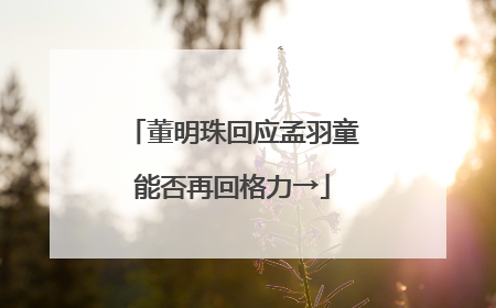 董明珠回应孟羽童能否再回格力→