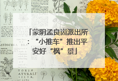 蒙阴孟良崮派出所：“小推车”推出平安好“枫”景
