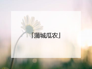 蒲城瓜农