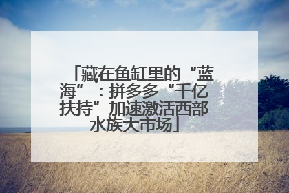 藏在鱼缸里的“蓝海”：拼多多“千亿扶持”加速激活西部水族大市场
