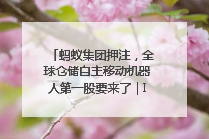 蚂蚁集团押注，全球仓储自主移动机器人第一股要来了｜IPO直通车