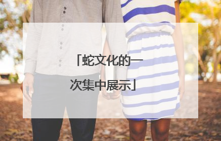 蛇文化的一次集中展示