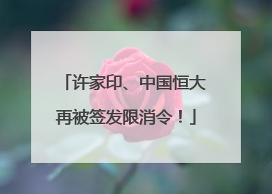 许家印、中国恒大再被签发限消令！