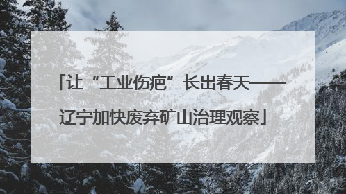 让“工业伤疤”长出春天——辽宁加快废弃矿山治理观察