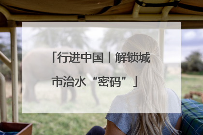 行进中国丨解锁城市治水“密码”