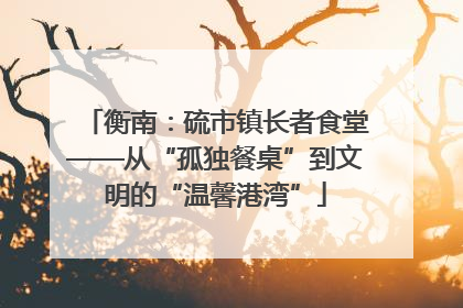 衡南：硫市镇长者食堂——从“孤独餐桌”到文明的“温馨港湾”