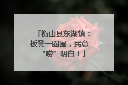 衡山县东湖镇：板凳一圈围，民意“唠”明白！