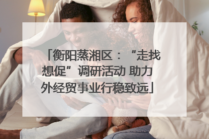 衡阳蒸湘区：“走找想促”调研活动 助力外经贸事业行稳致远