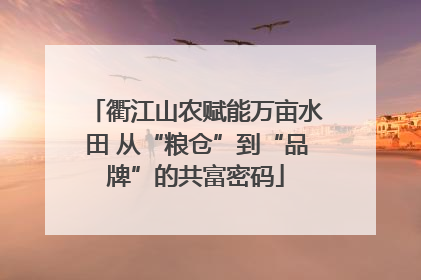 衢江山农赋能万亩水田 从“粮仓”到“品牌”的共富密码