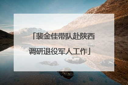 裴金佳带队赴陕西调研退役军人工作