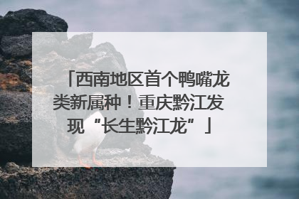 西南地区首个鸭嘴龙类新属种！重庆黔江发现“长生黔江龙”