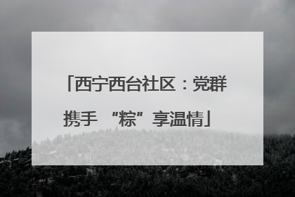 西宁西台社区：党群携手 “粽”享温情