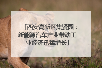 西安高新区集贤园：新能源汽车产业带动工业经济迅猛增长