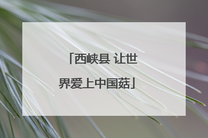 西峡县 让世界爱上中国菇