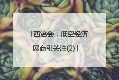 西洽会：低空经济展商引关注(2)