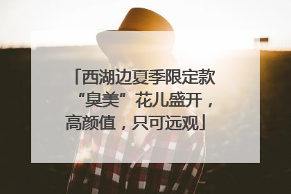 西湖边夏季限定款“臭美”花儿盛开，高颜值，只可远观