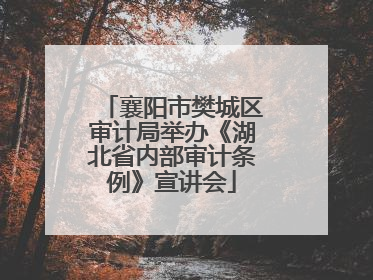 襄阳市樊城区审计局举办《湖北省内部审计条例》宣讲会