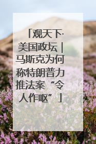 观天下·美国政坛｜马斯克为何称特朗普力推法案“令人作呕”